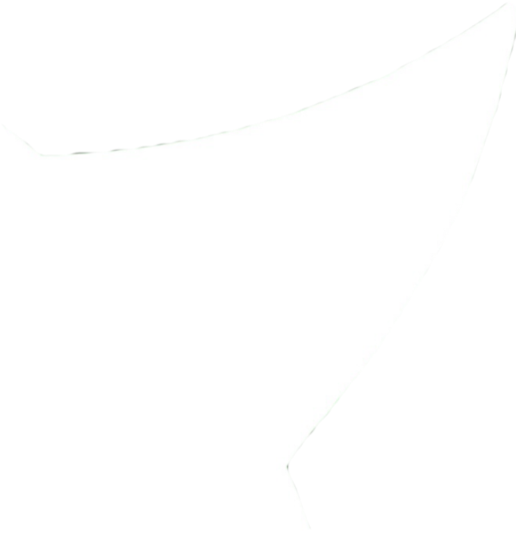 IMG_9267.png