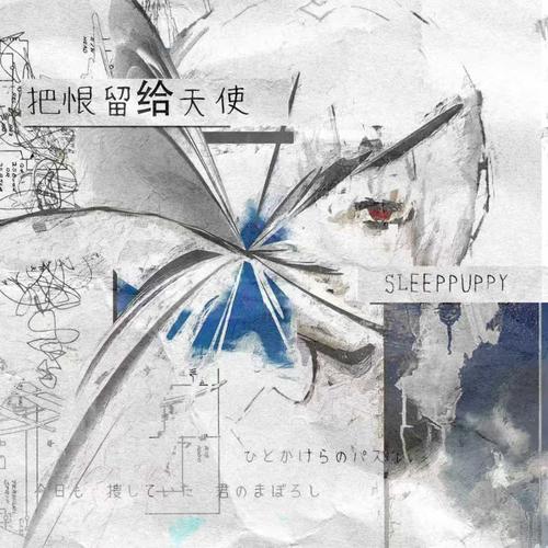 Sleeppuppy《把恨留给天使.jpg