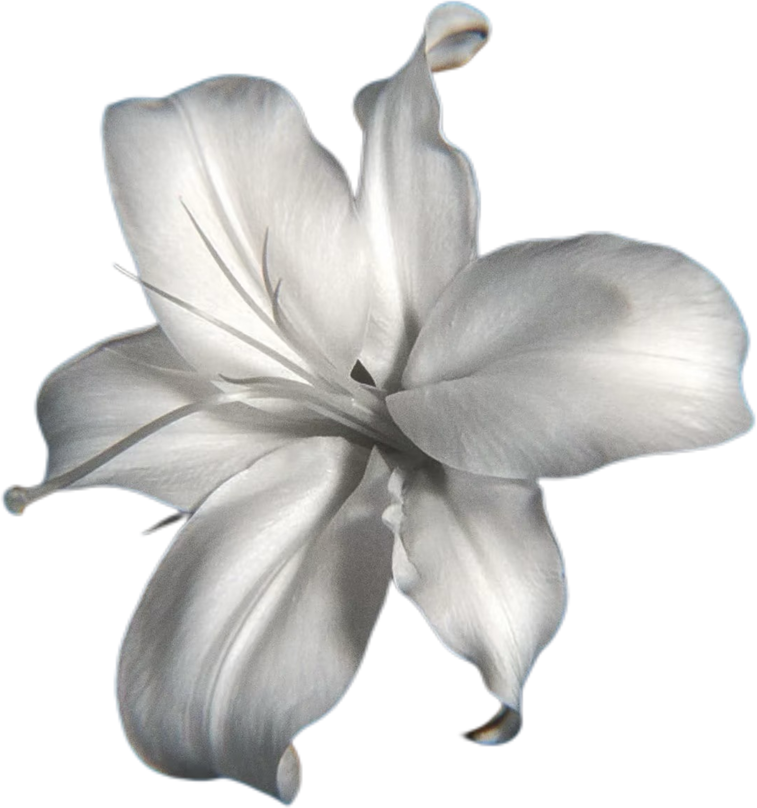 IMG_3682.png