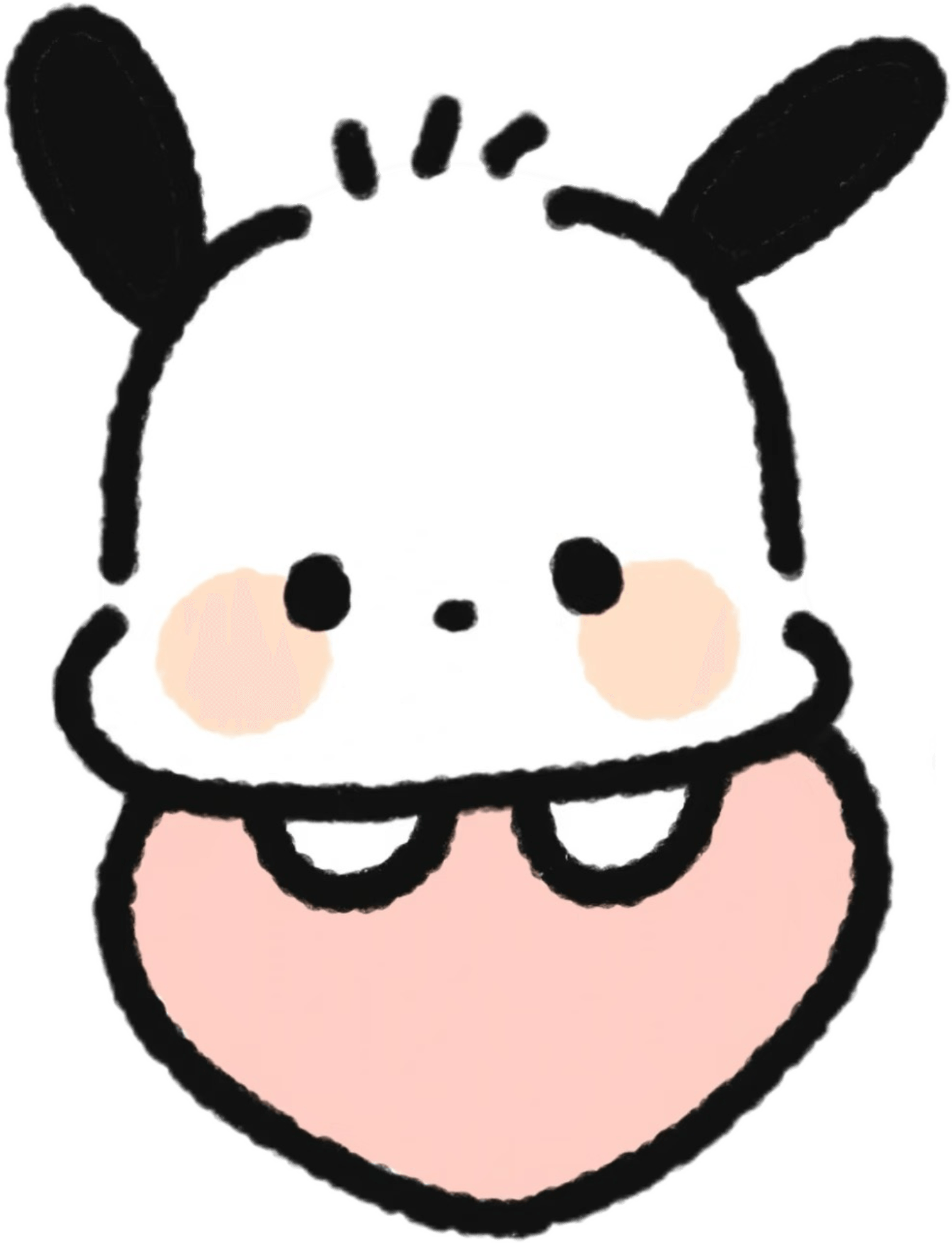 IMG_1116.png