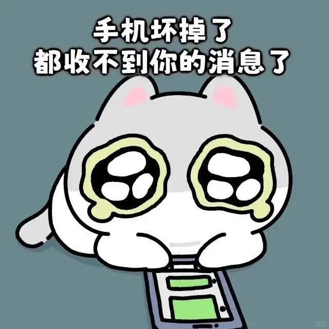 图片15.png