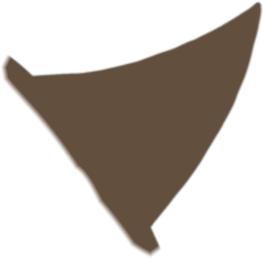 IMG_9273.png
