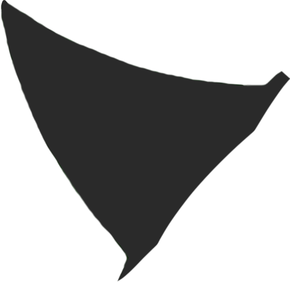 IMG_9250.png
