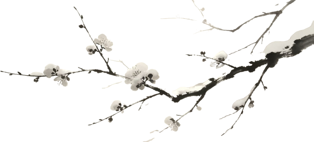 retouch_2026081803343238.png
