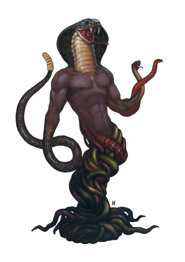 Syricta.png