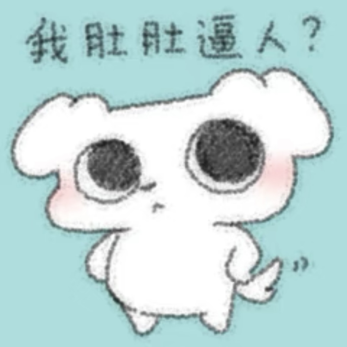 IMG_6351.jpeg