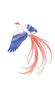mmexport1787137851620.gif
