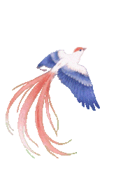 mmexport1787137825464.gif