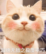 1000040348.gif