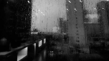 11768.gif