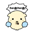 奶黄小狗跳啦啦舞 加油加油.gif