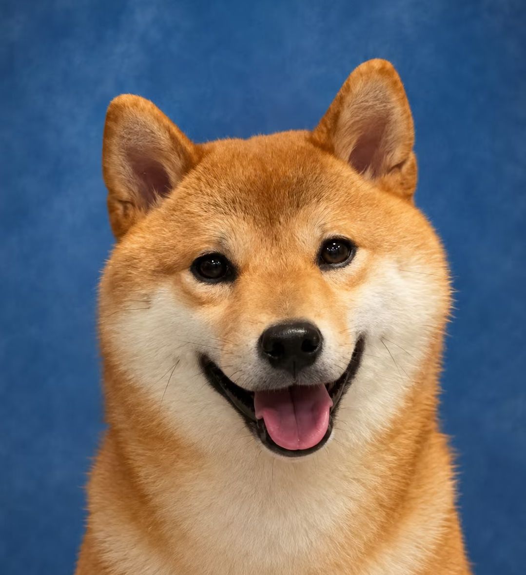 qq_pic_merged_1787091924950.jpg