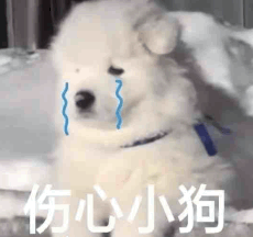 1000040349.gif