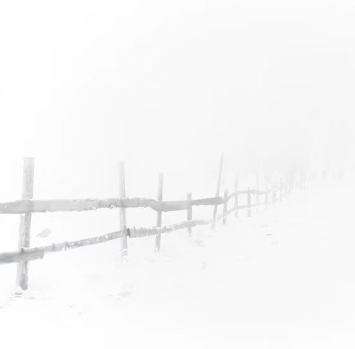 IMG_9403.jpeg
