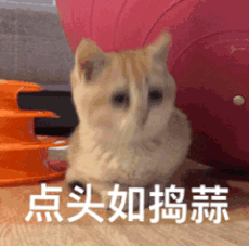 1000040350.gif