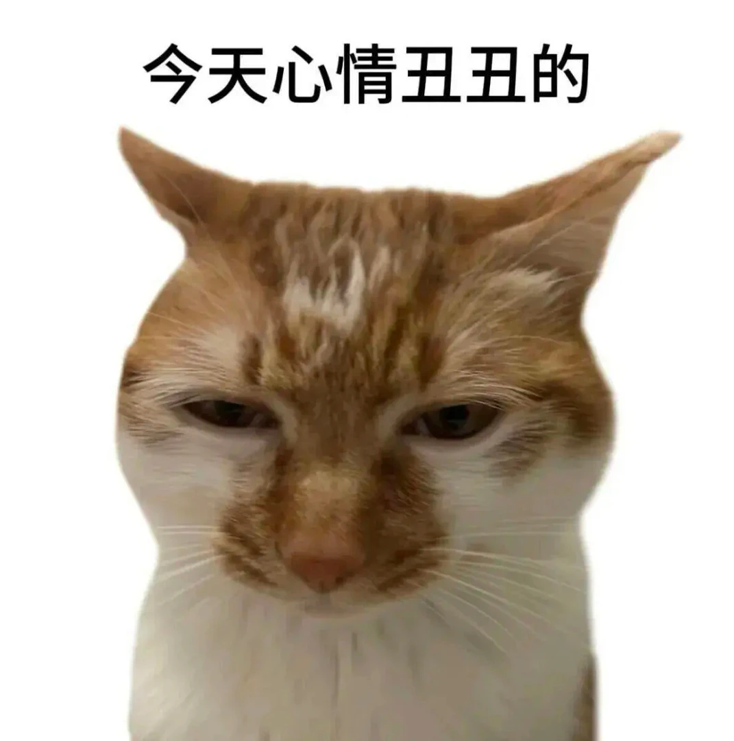 mmexport1787116845477.jpg