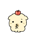 奶黄小狗头上顶着苹果 搓弄双手 拜托拜托.gif