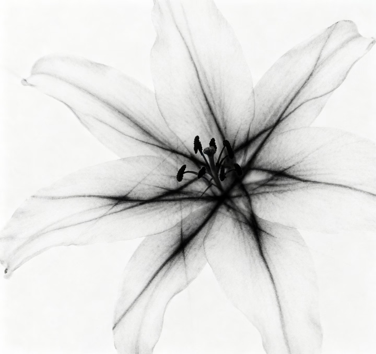 image_1784299862913.png