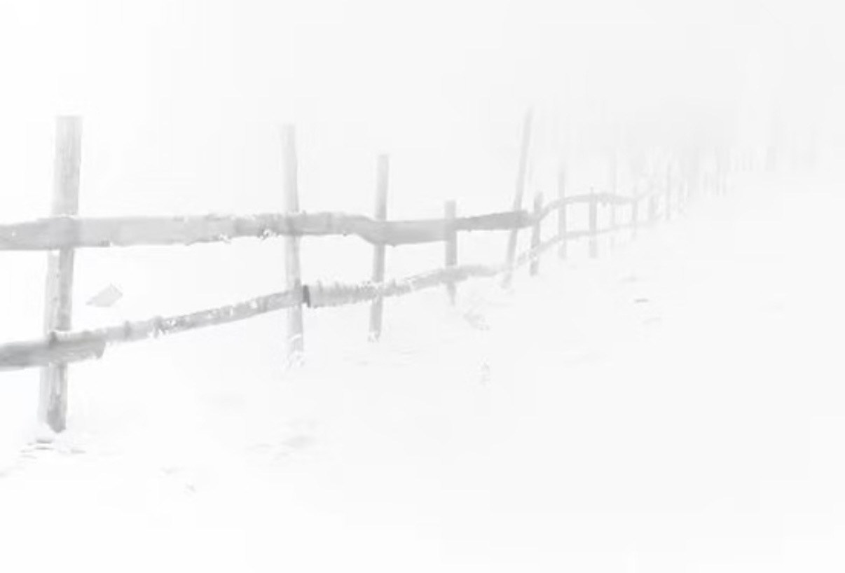 IMG_9403.jpeg