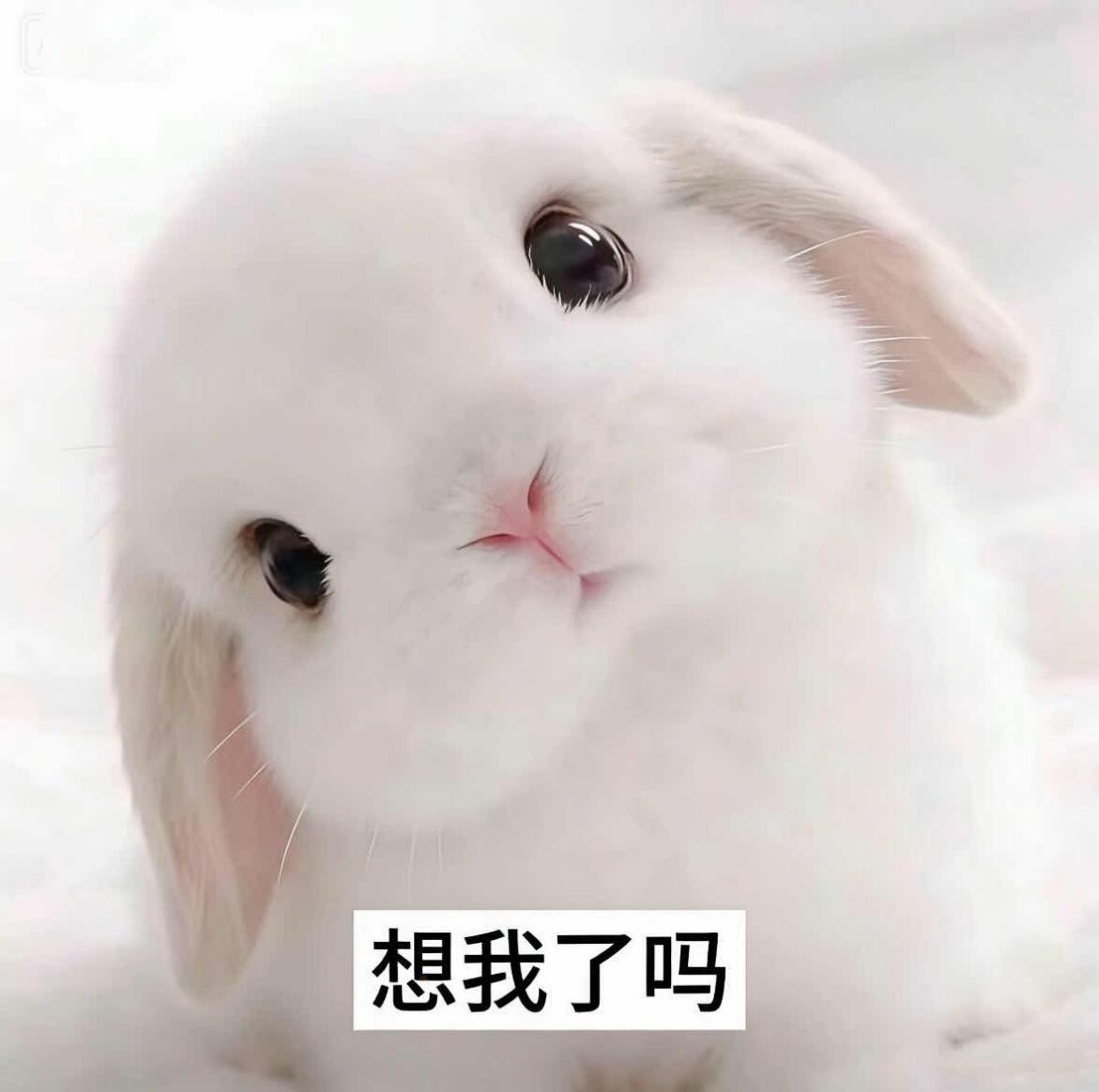 IMG_4041.JPG