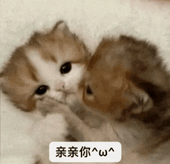 1000065159.gif