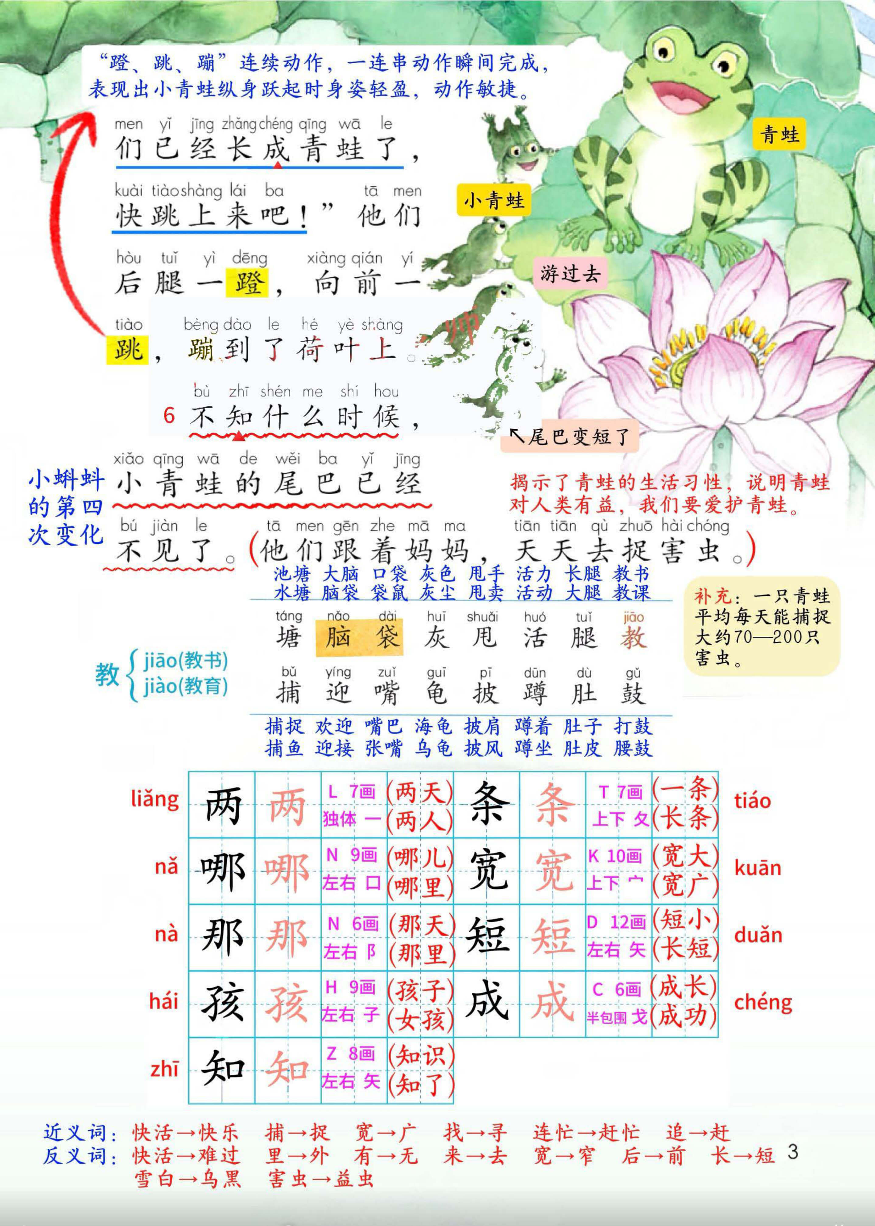 26秋二上语文课堂笔记（新教材详细版）-5.jpg