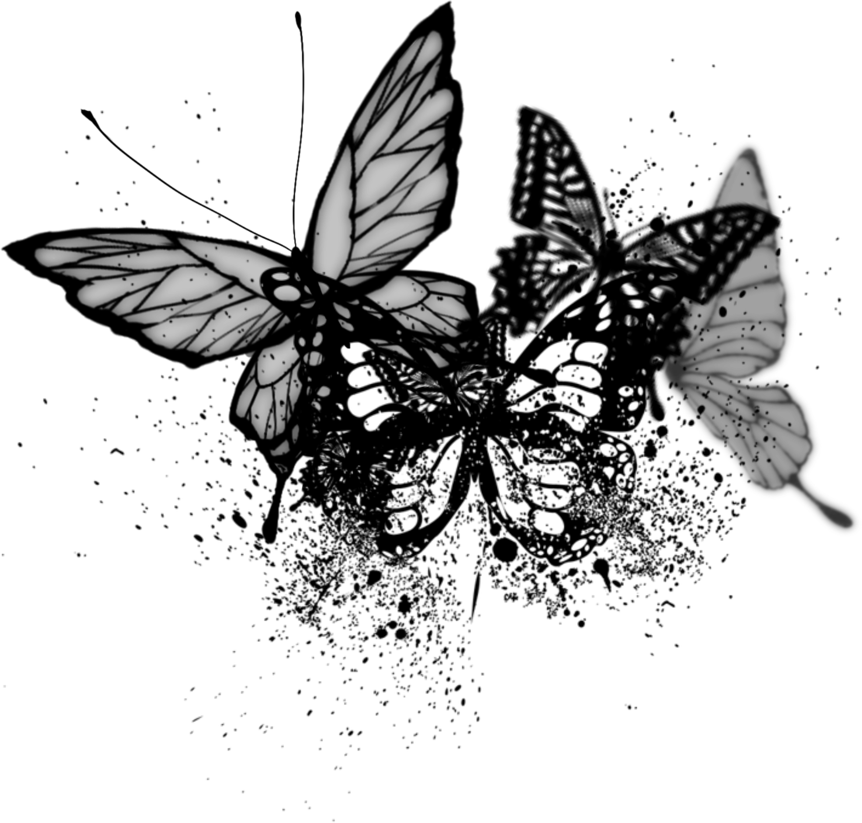 retouch_2026082016130533.png