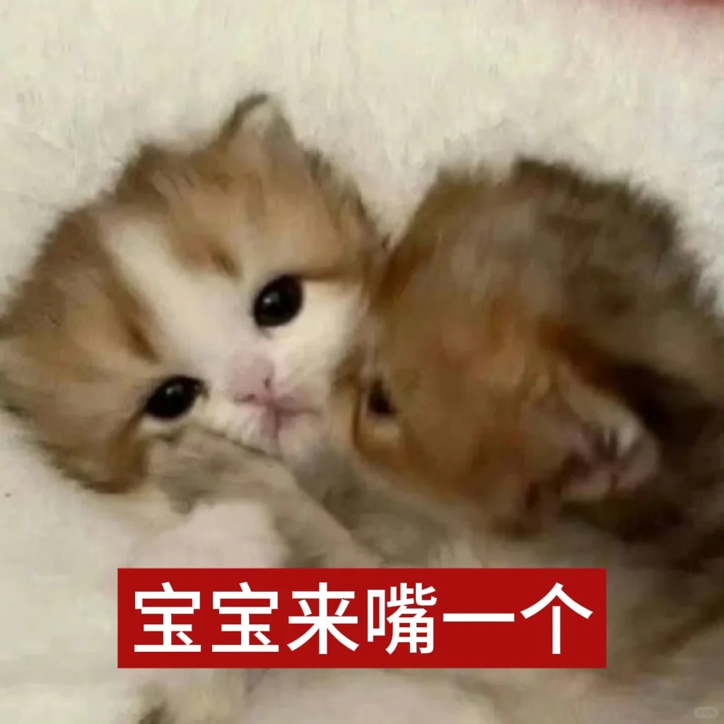 女朋友很爱发给我这些表情包_6_小福星_来自小红书网页版.jpg