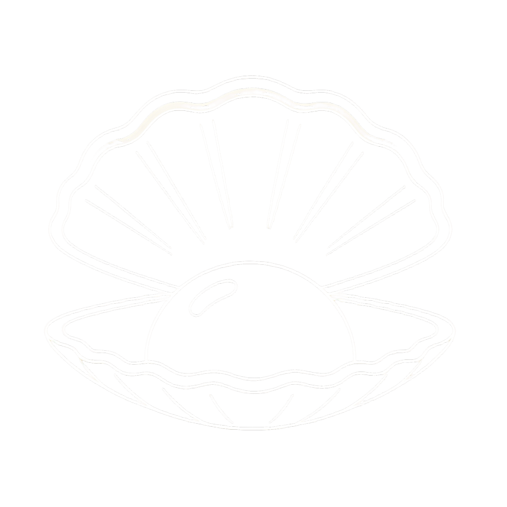 生成ins白色贝壳图片.png