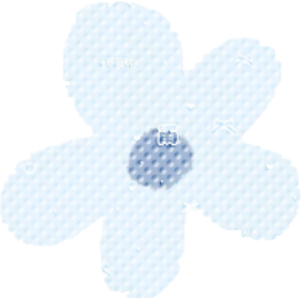 IMG_7776.png