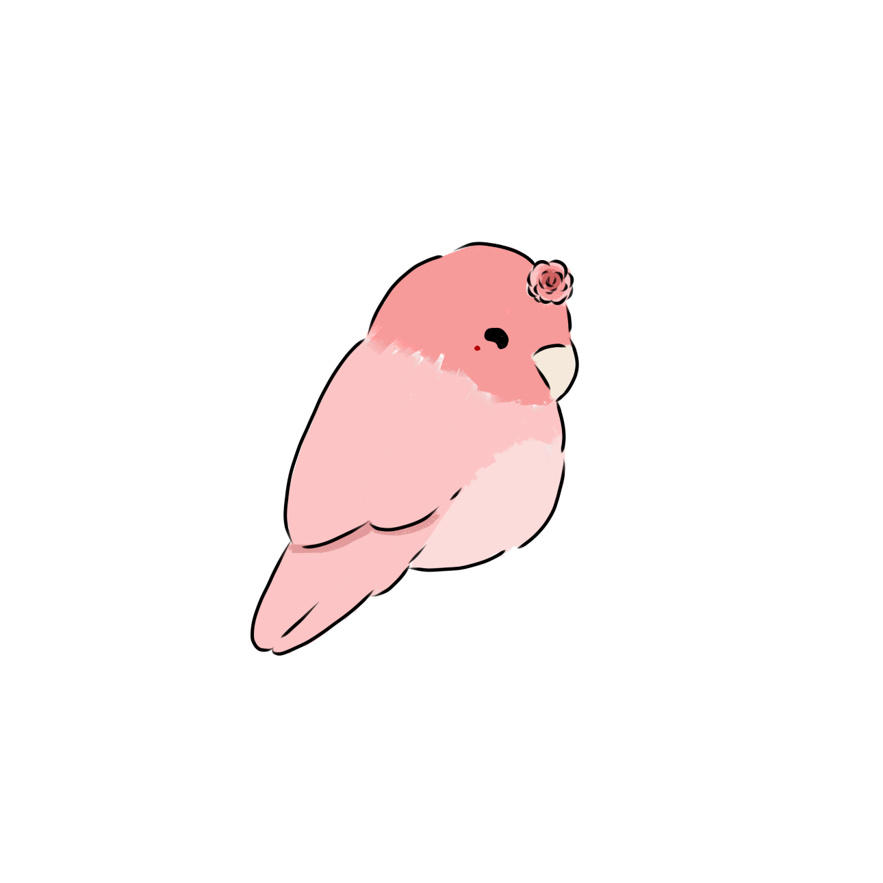 IMG_5901.png