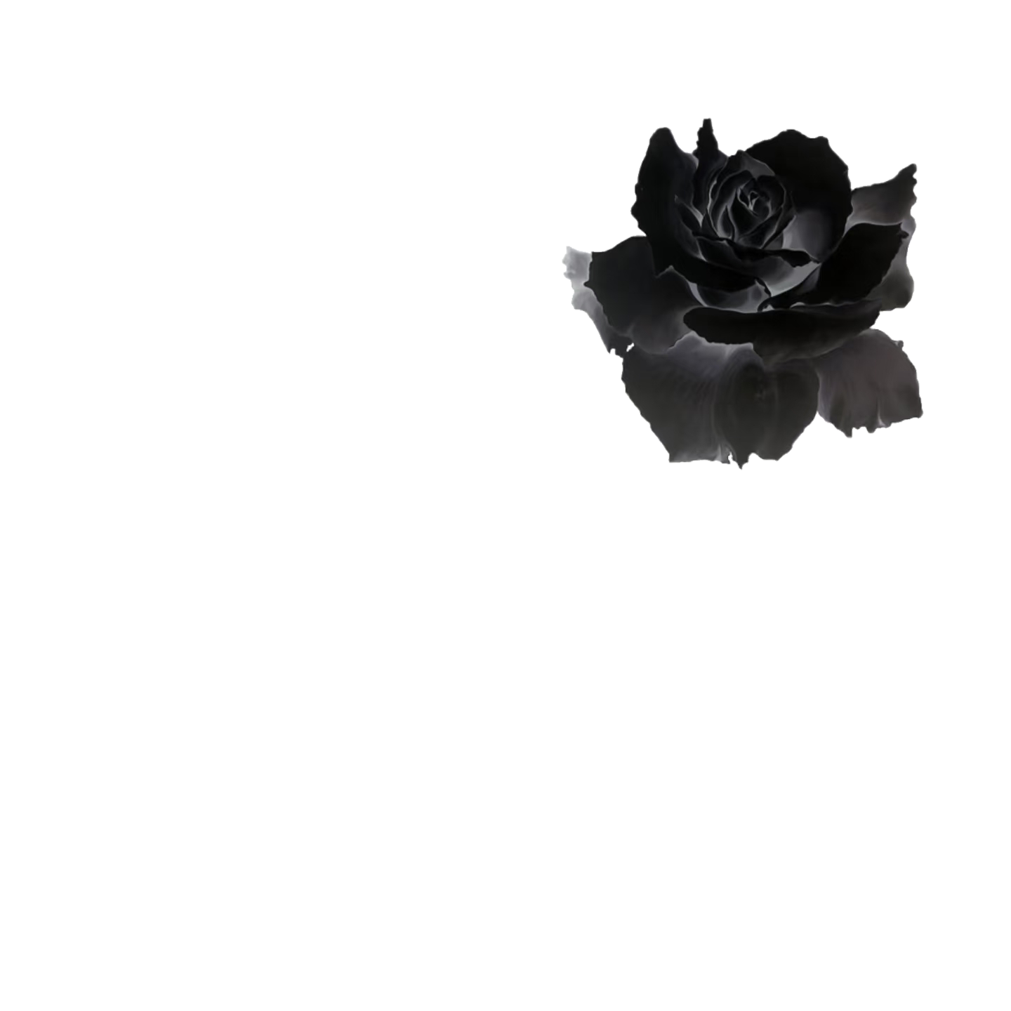 无标题29_20260821095751.png