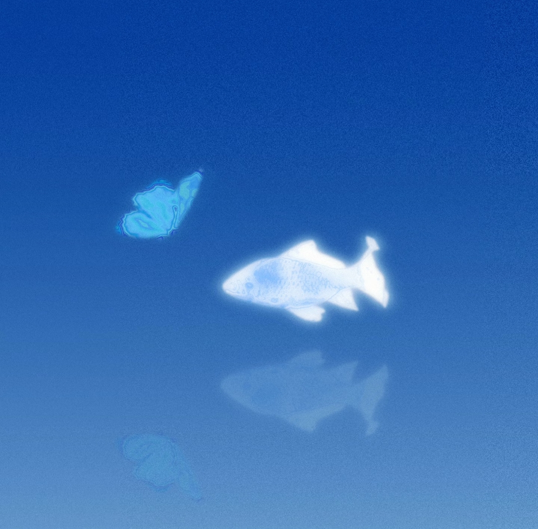 1000118449.jpg