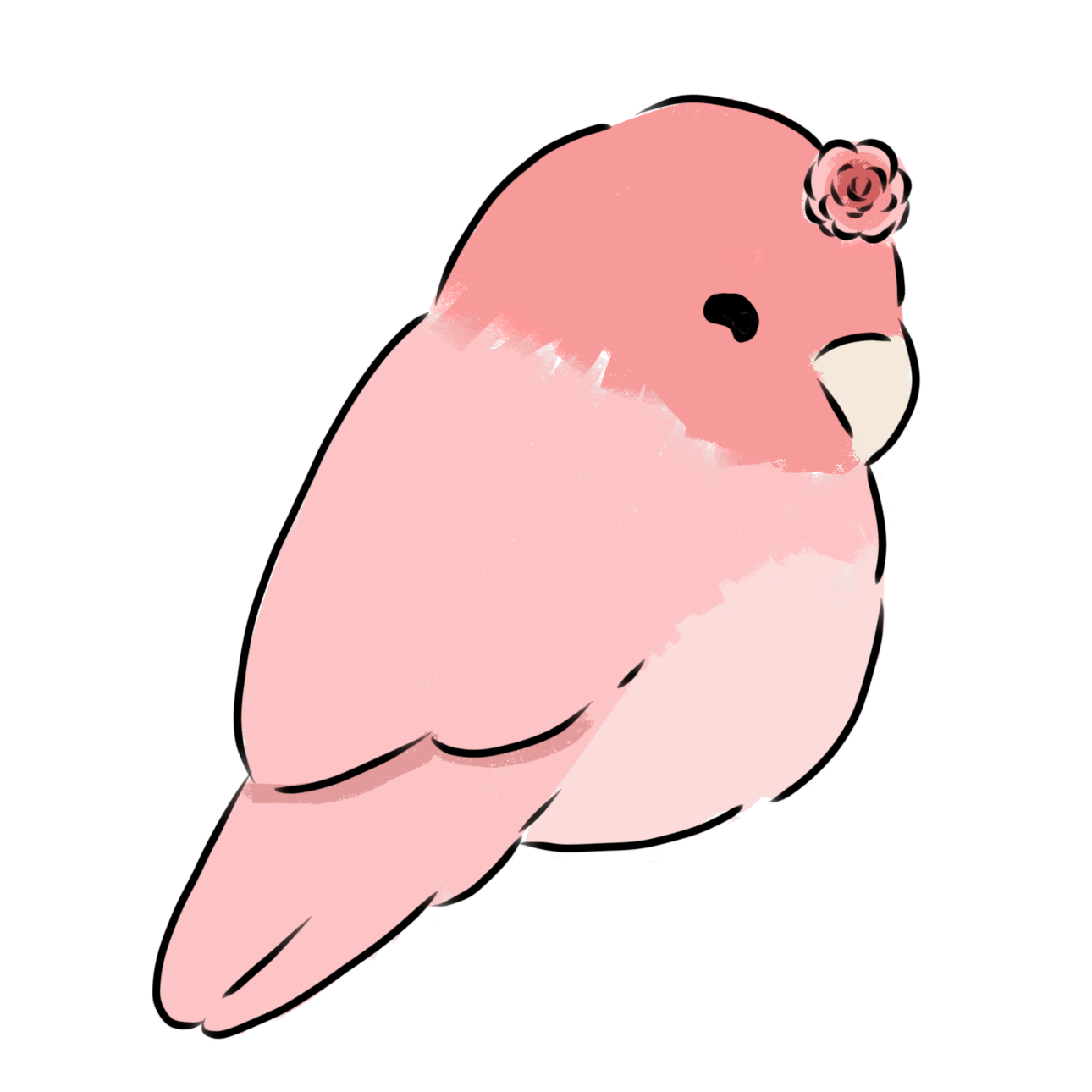 IMG_5898.png