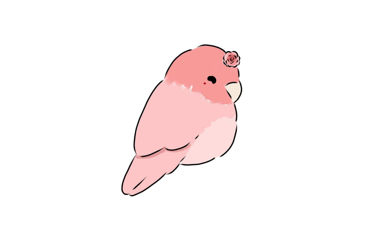 IMG_5903.png