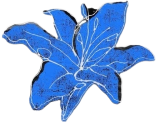 1000118467.png