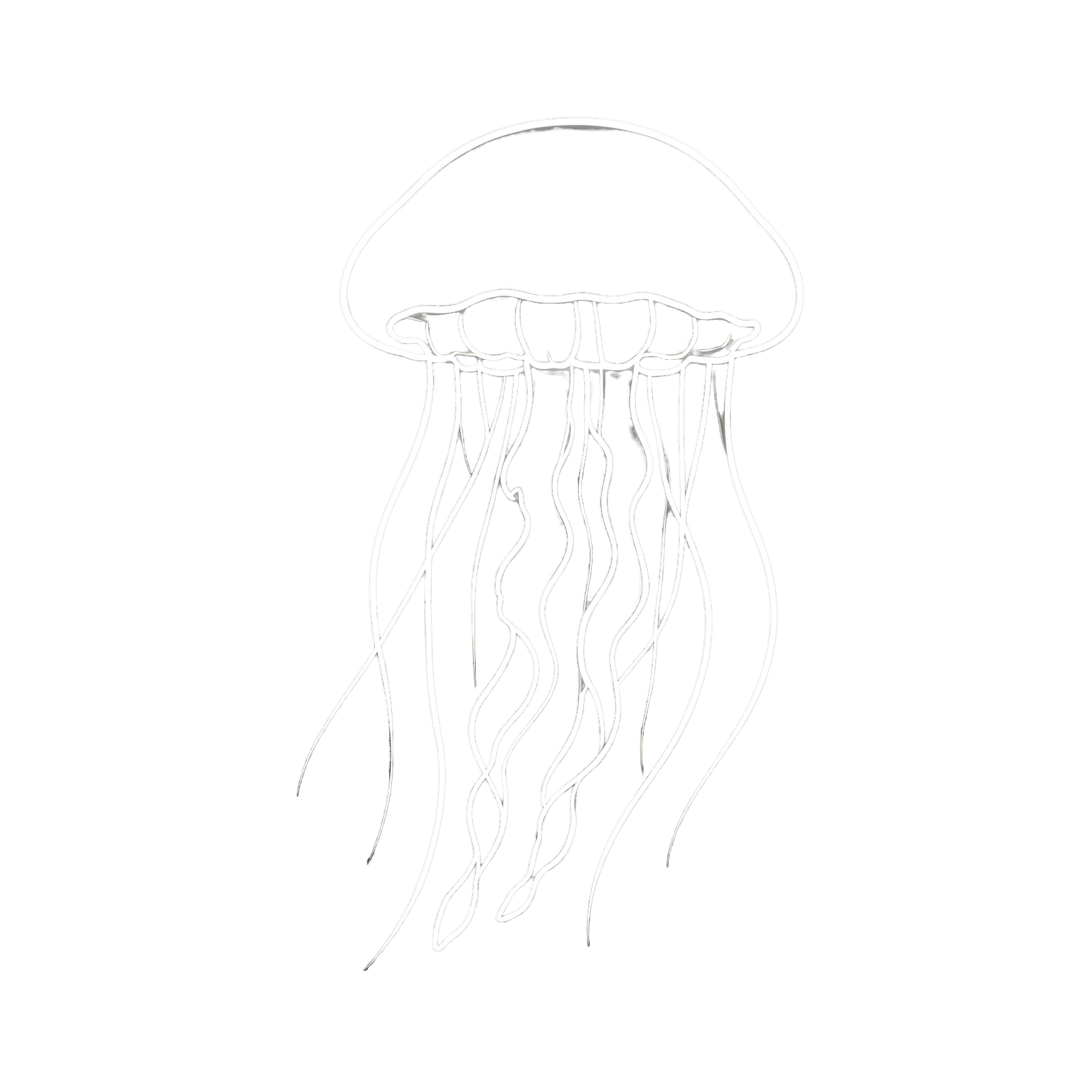 生成ins系水母图标参考.png
