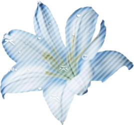 IMG_7763.png