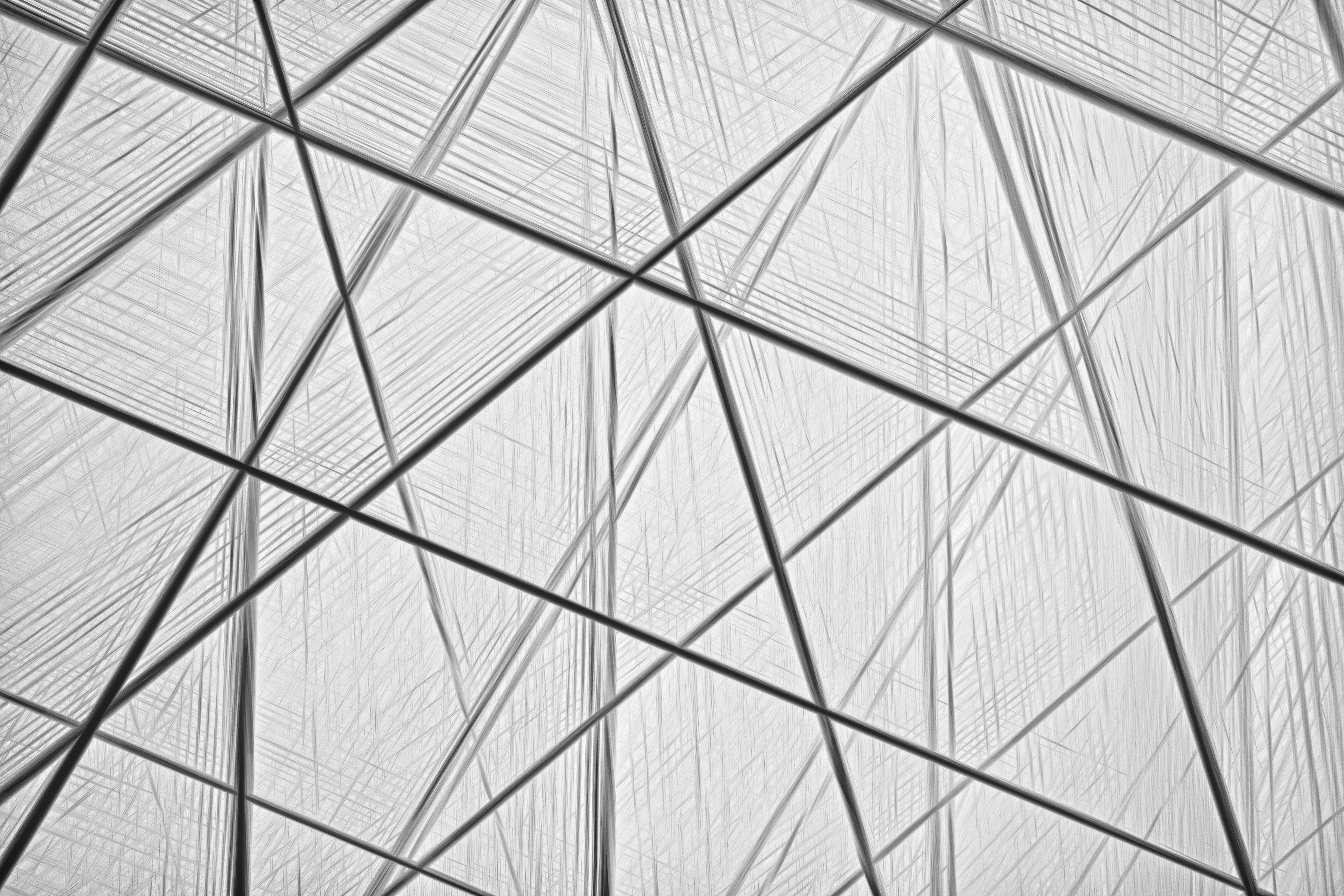 Pexels-robert-clark-504241532-27864656.jpg