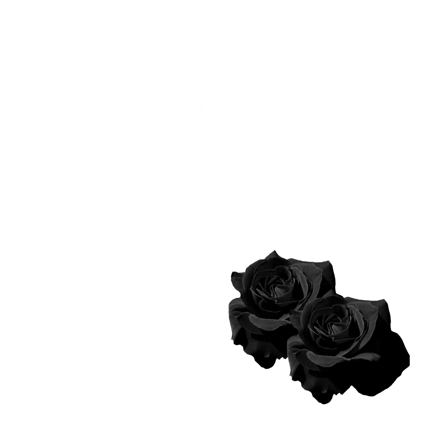 无标题29_20260821095716.png