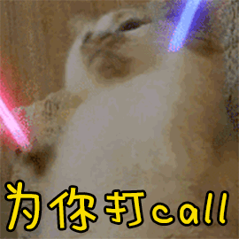 为你打call（动图，小猫晃动荧光棒）.gif