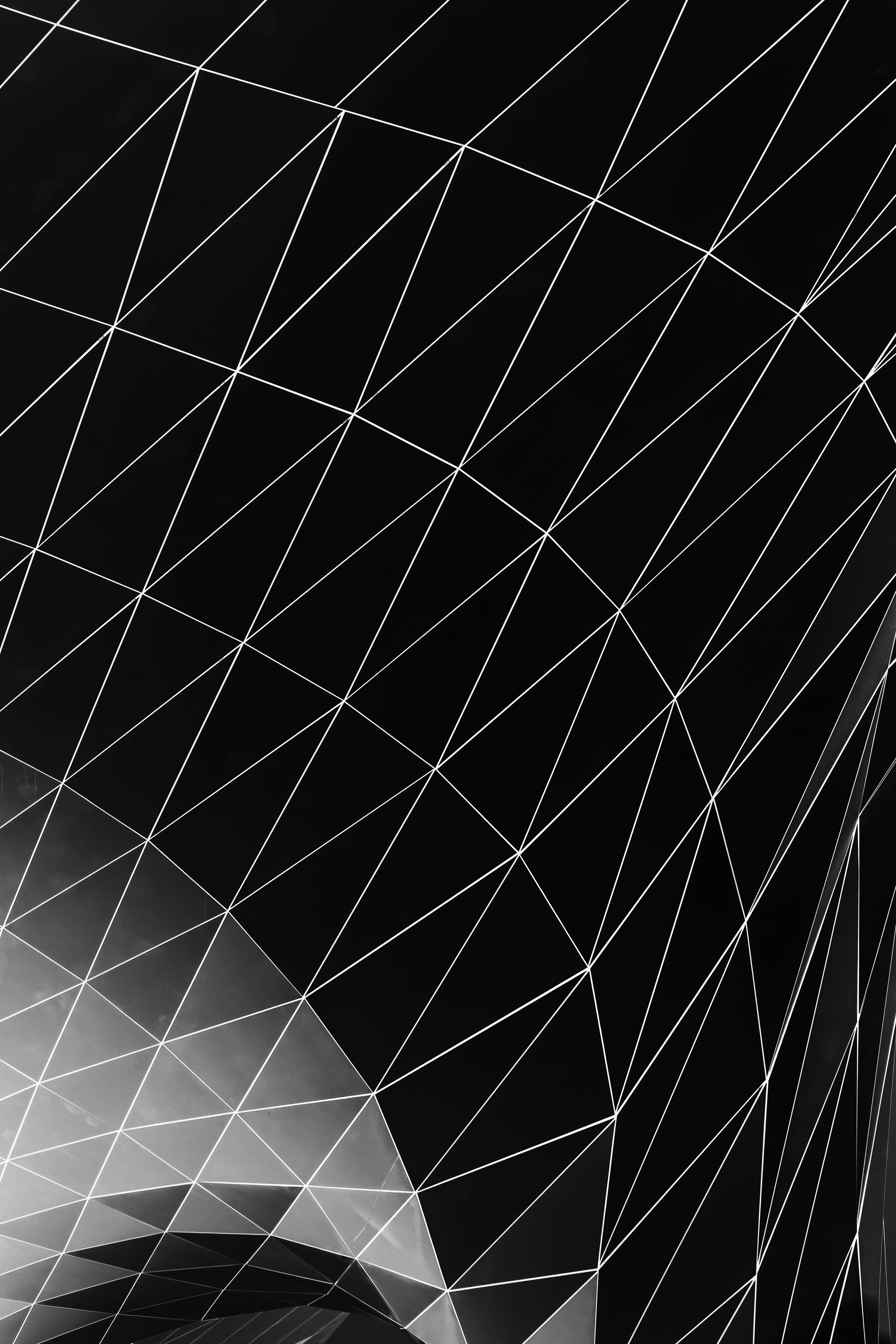 Pexels-adrien-olichon-1257089-3137078.jpg