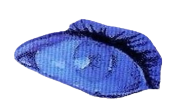 1000118465.png