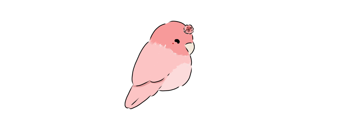 IMG_5905.png