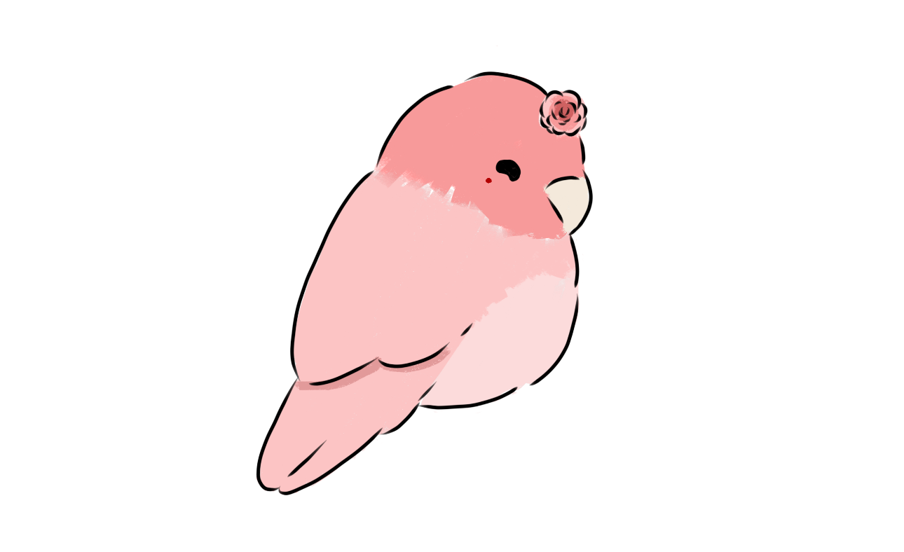 IMG_5902.png