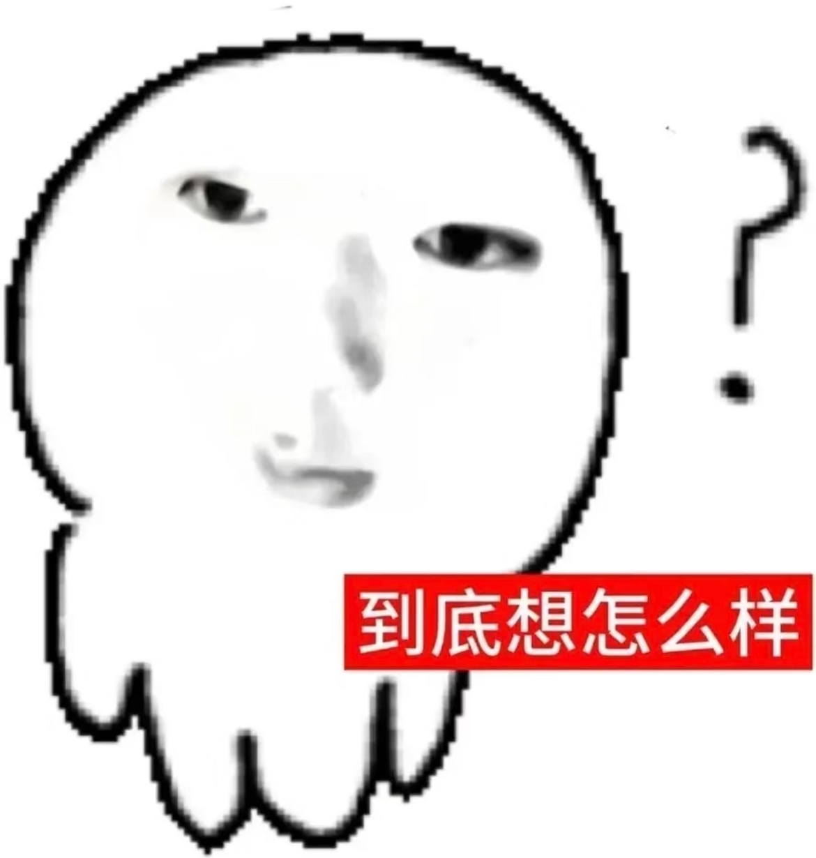 IMG_1323.jpeg