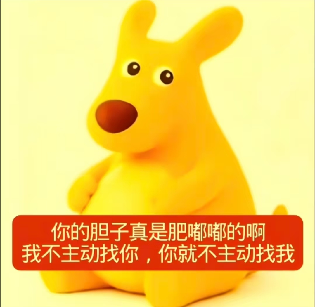 1000104817.jpg