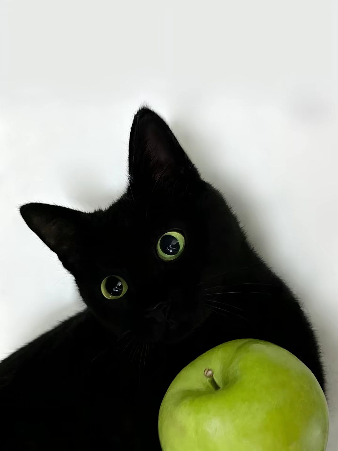 1786810100937.png