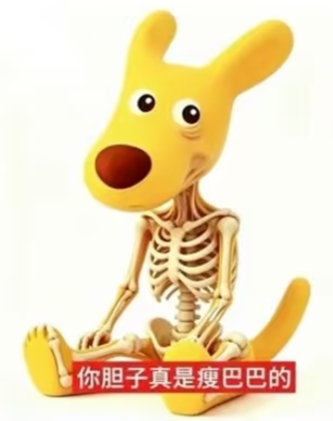 1000104819.jpg