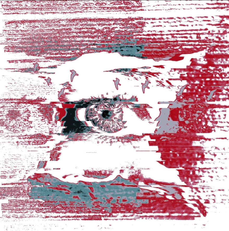 1000017528.jpg